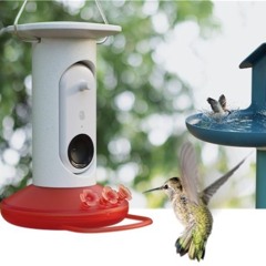 Bird Buddy Smart Hummingbird Feeder takes flight
