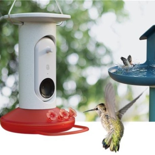 Bird Buddy Smart Hummingbird Feeder takes flight