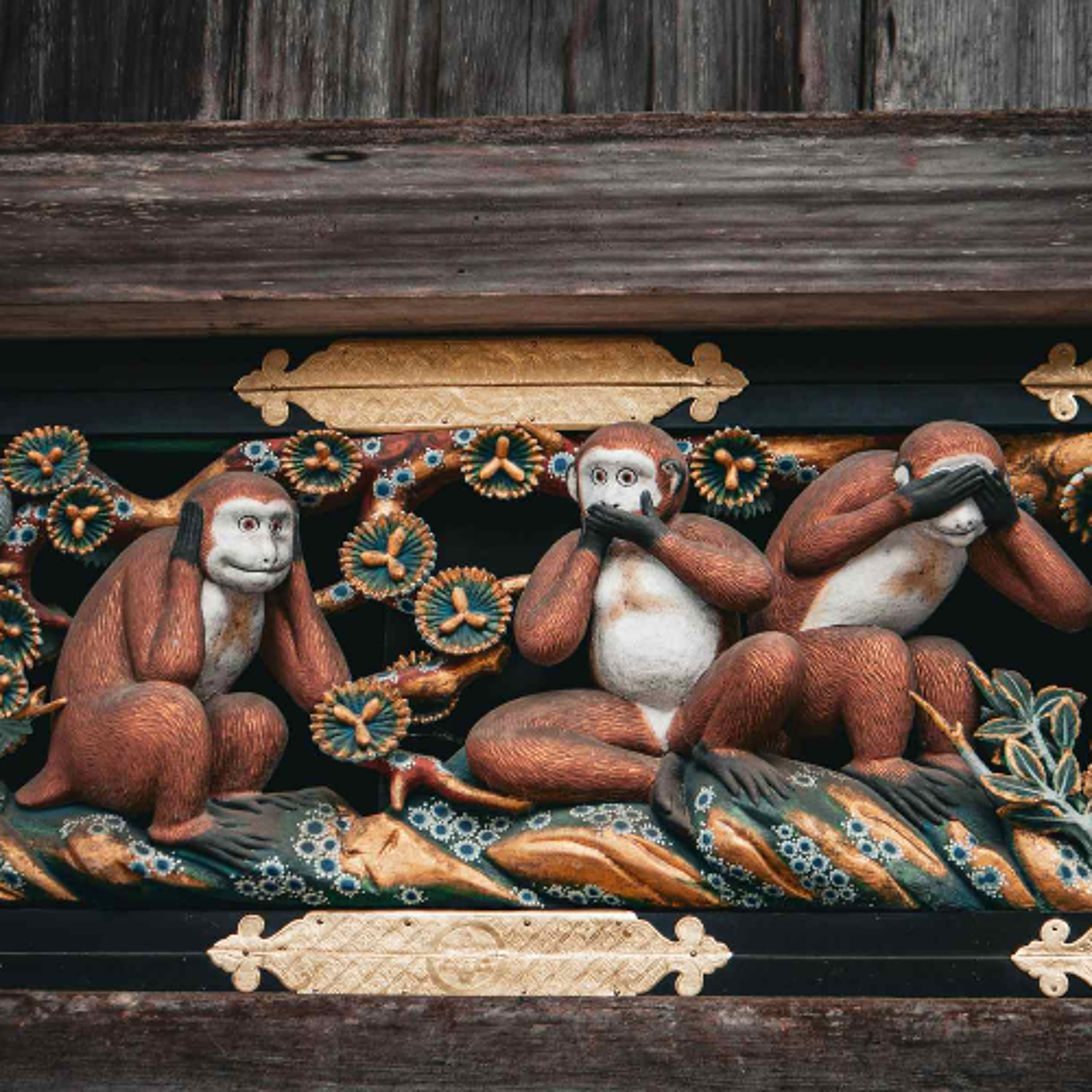 Ep. 527 Meditazione sull'ignoranza