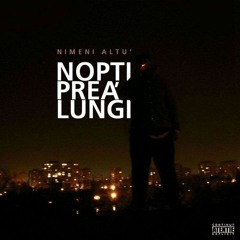 Nimeni Altu' - Nopţi prea lungi