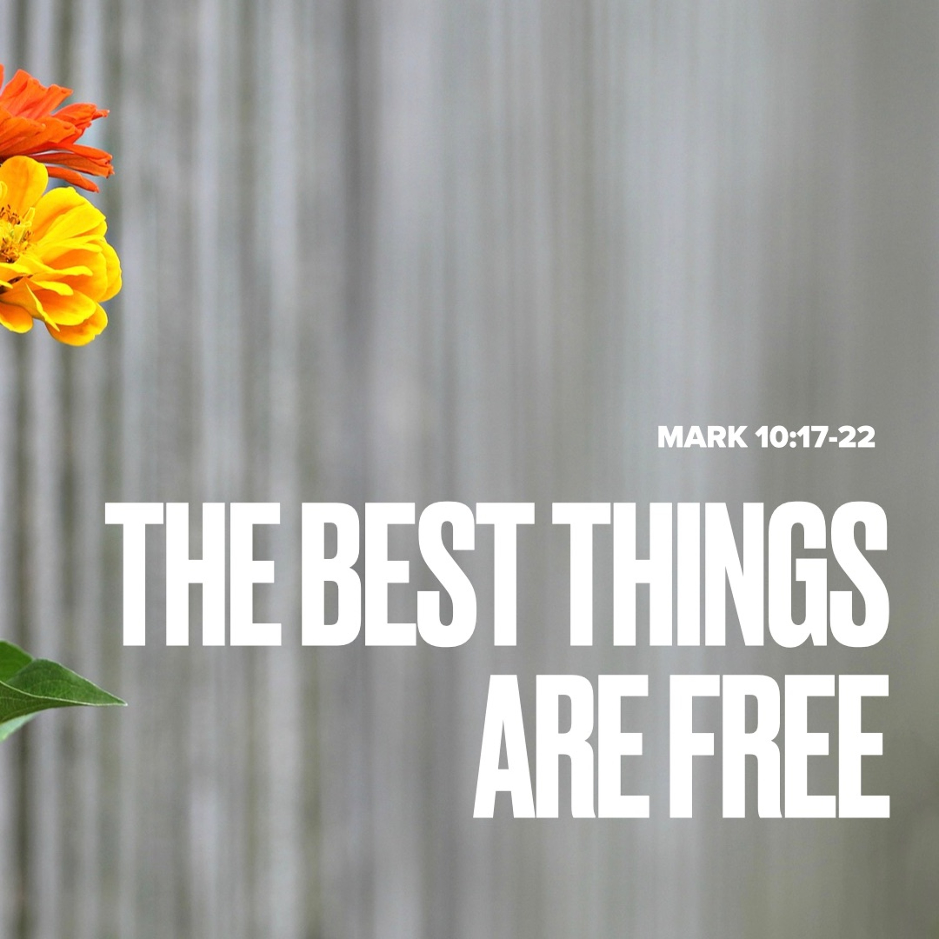 The Best Things Are Free, 10-10-2021 episode artwork