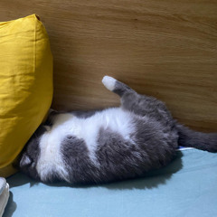 chuyện của trời ( cover )