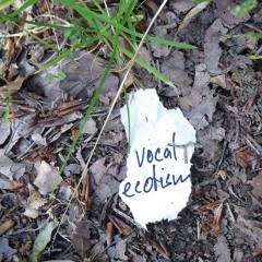 vocal ecotism
