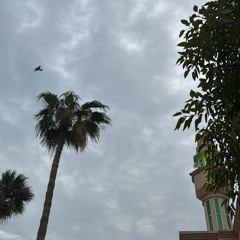 يا ملاذ الهاربين ، ويا أمان الخائفين ، ويا جابر المنكسرين