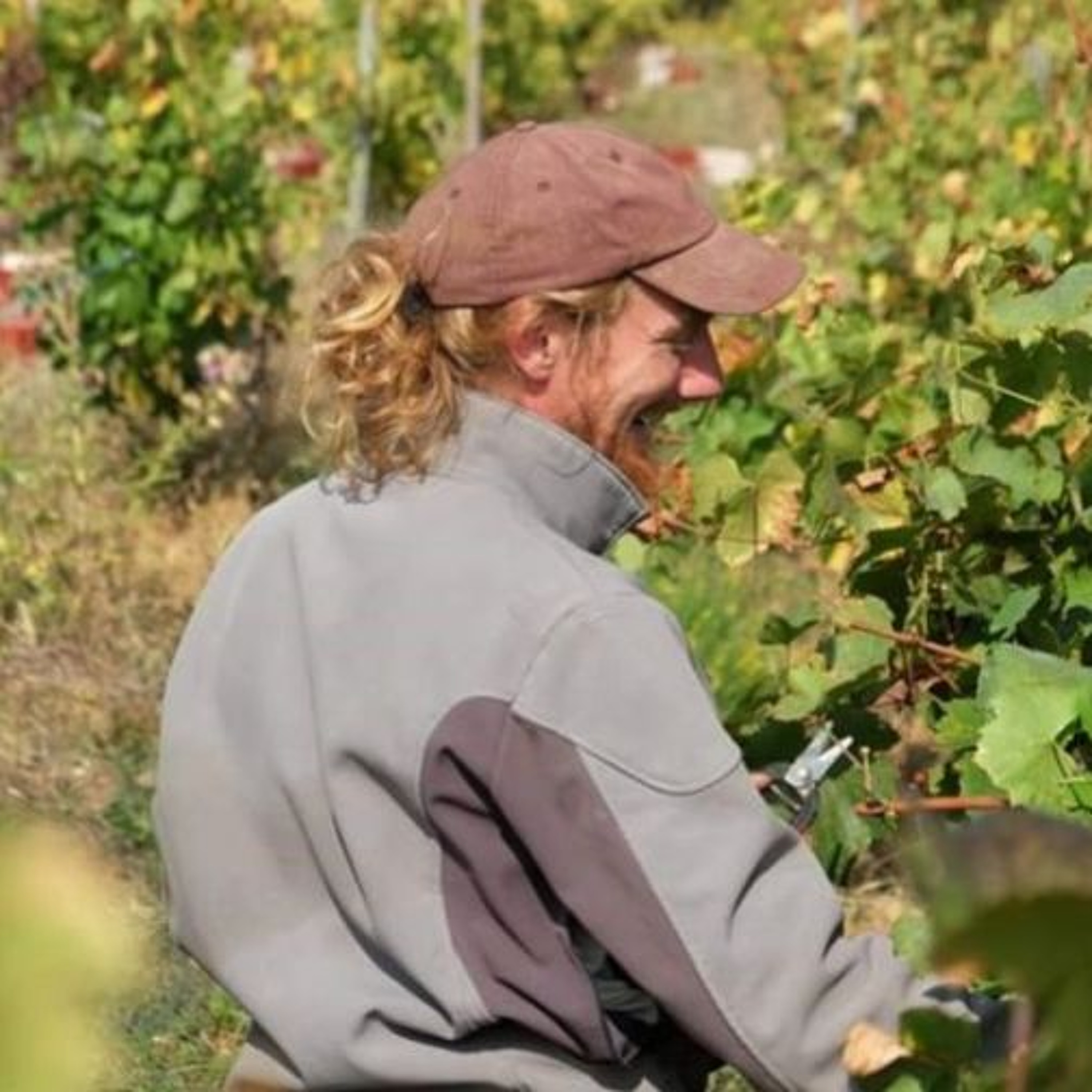 Ludovic Fayolle - Domaine Les Champs du Possible - Comment arrêter ?