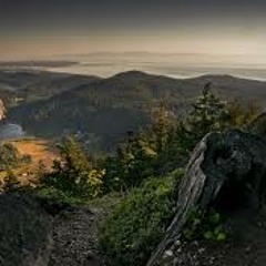 المتجر الرابح في ثواب العمل الصالح -(1) - قناة المجد للحديث النبوي