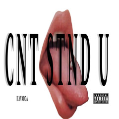 CNT STND U