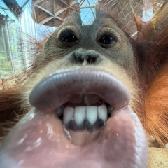 Mon Soleil Solo Remix x TiLex Keyz ~ mix