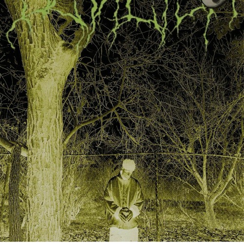 h6G-L.op-BLAZeëR.wav ❄️