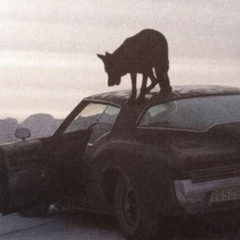 Be Careful (PROD. SNOOZN)