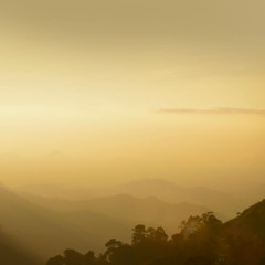By The Morning Light