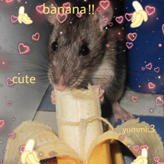 Banana Rat (Prod. Macro_a_rock)