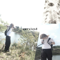 aniol ⊹ ࣪ ˖