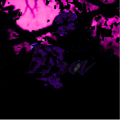 Not The Same (Daycore)