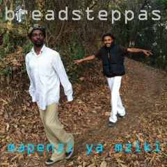 BREADSTEPPAS  - Mapenzi ya Muziki feat. Alvarez Anwar