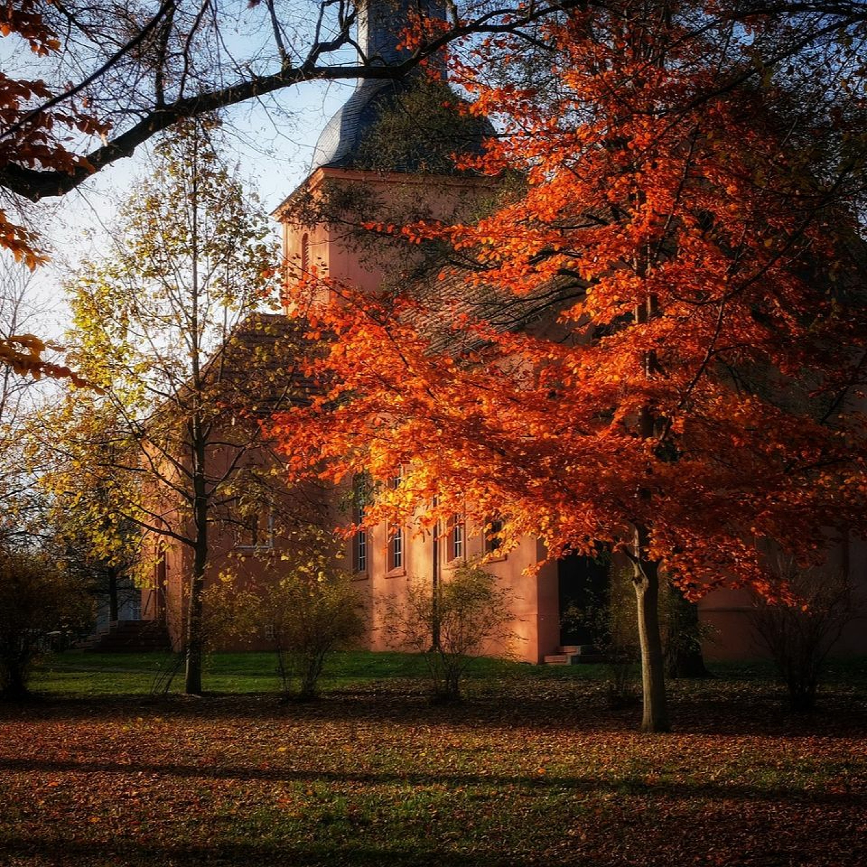 Der Sonntag-Morgen (vom 05.11.23) episode artwork