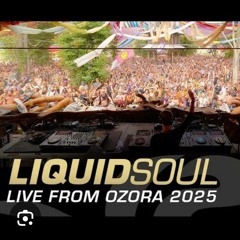 Liquid Soul  Ozora Festival 2025 [Full set movie] - Liquid Soul Official.mp3