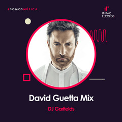 David Guetta Mix | DJ Garfields IR