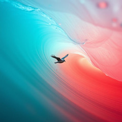 The Ocean