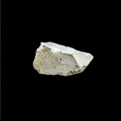 Makette 1 - Silex - DRR, Docaniel, Faffe (prod Stokma)