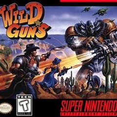 Wild Guns Music- Carson City