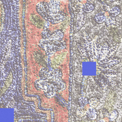 Oklou - Obvious (Glyphbound Edit)