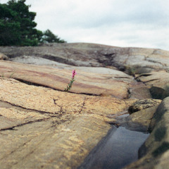 Material Encounters (white tipped ardor) ft. Jameela F. Dallis