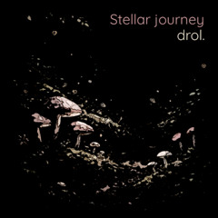 Stellar journey ( Original mix )