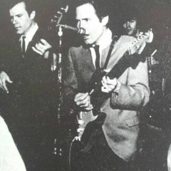 "It's Too Late" (LIVE) - Bobby Fuller Four