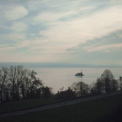 ALL THE THINGS SHE SAIDDD