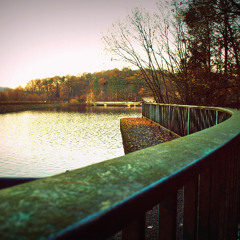 first harlekin dub 108 ambient mix