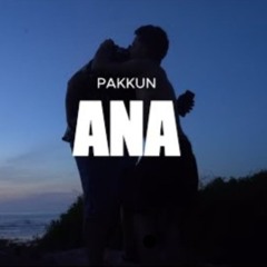 Pakkun - ANA