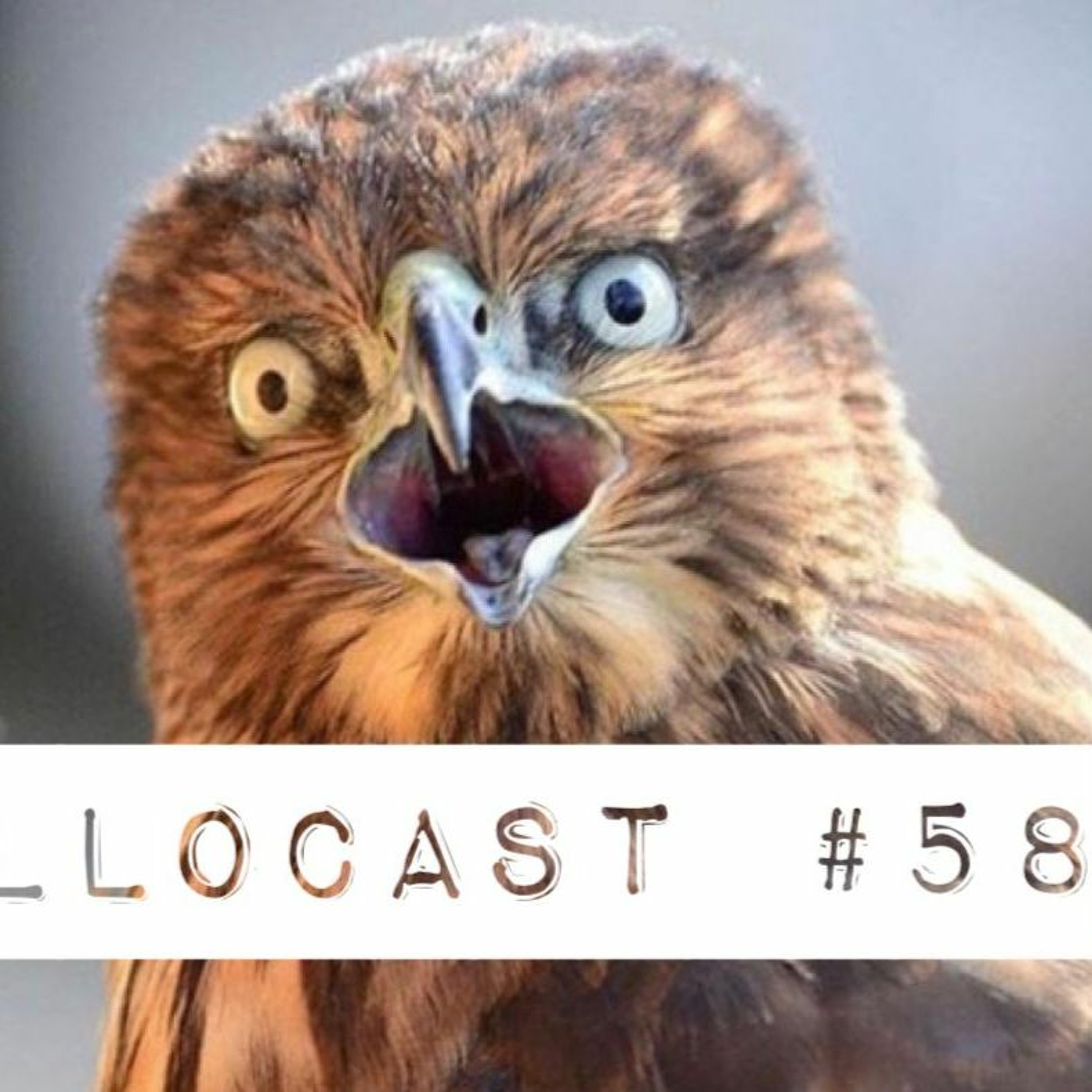 Pääkallon podcastit