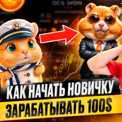 HAMSTER KOMBAT - КАК НАЧАТЬ НОВИЧКУ ЗАРАБАТЫВАТЬ 100$ В ДЕНЬ !