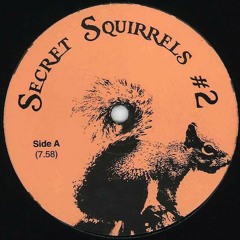 Secret Squirrels #2 - Track B