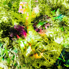 Pathfinders (Live Mix); Release Date: 08/08/2025