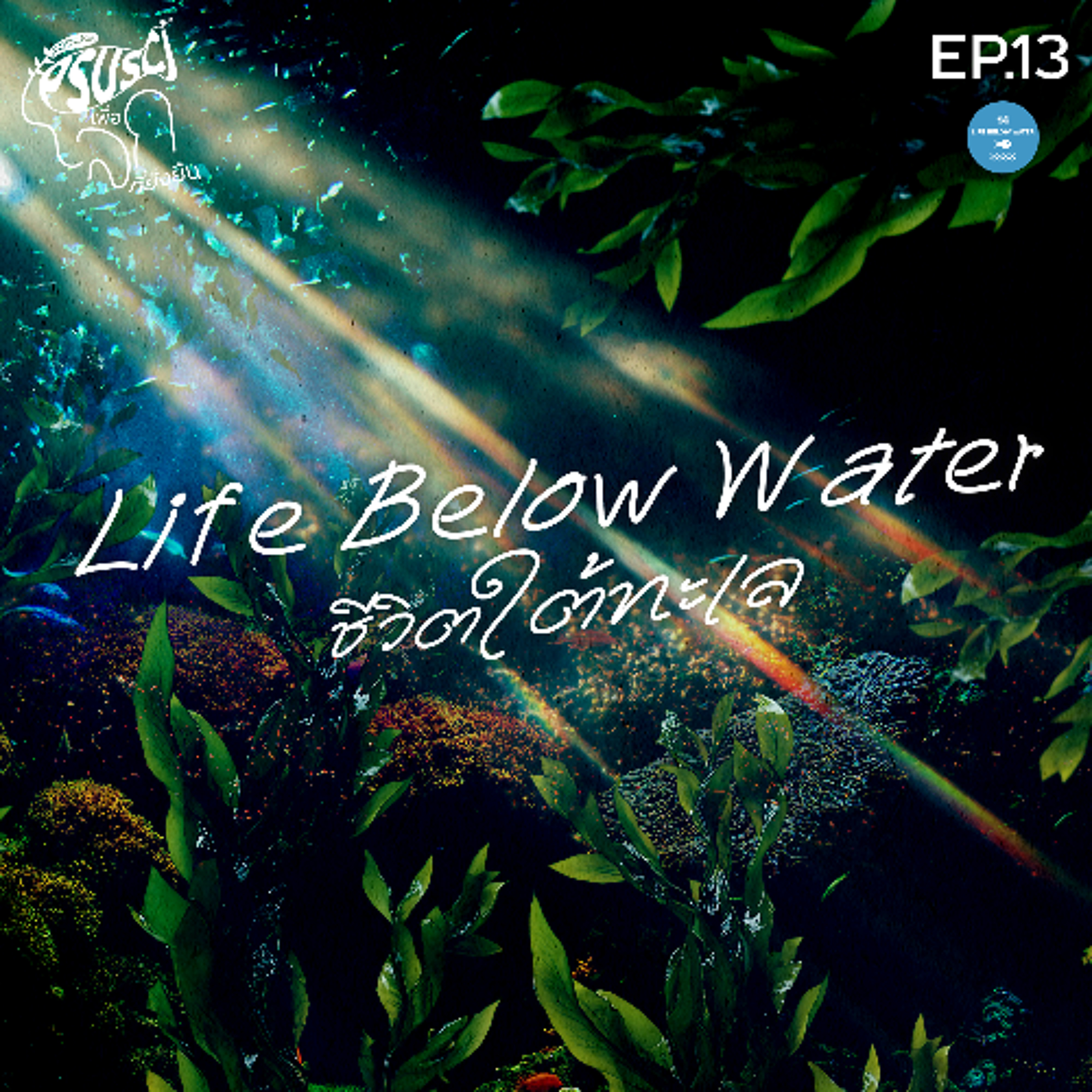 PSUSci เพื่อโลกที่ยั่งยืน EP.13 ชีวิตใต้ทะเล ( Life Below Water)