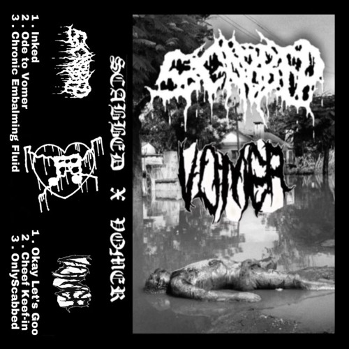 SPLIT vomer side