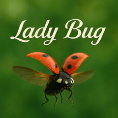 LADY BUG (feat. Olivier Samouillan)