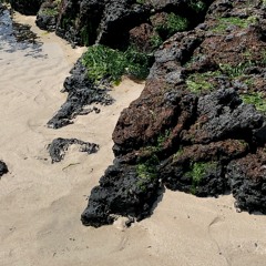 Soak Up Some Sun