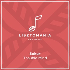 PREMIERE: Sokur - Space Synthetizer [Lisztomania Records]