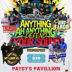 Anything Ah Anything - Young Hawk v Little Blue v King Fargo v Notorious Inc v Tek 9