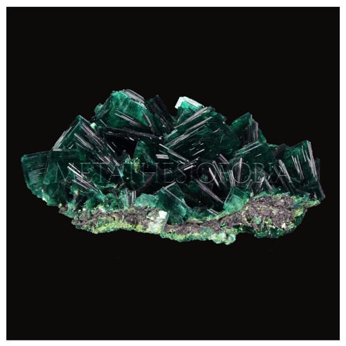 Cun Lumene - Metathesiofobia