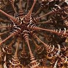 Nucleuz