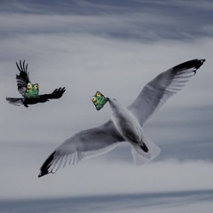 "seagulls" -- 27 days off weed, 338 to go