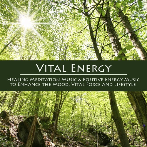 Stream Wellness Music by Vital Energy Duo | Listen online for free on ...