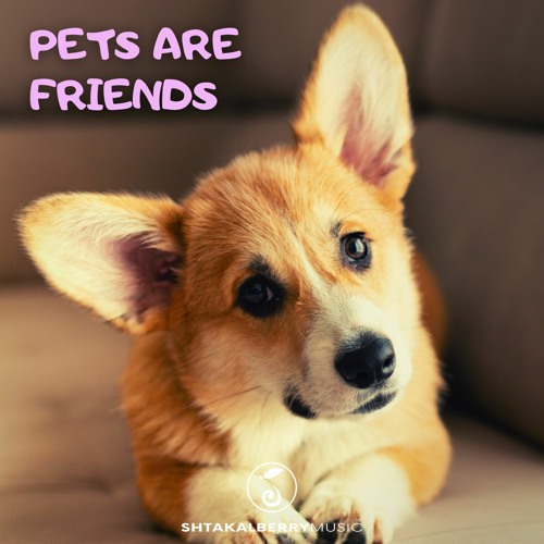 Pets Are Friends | Background Music | FREE DOWNLOAD