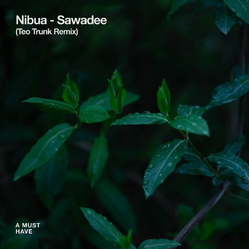Nibua - Sawadee (Teo Trunk Remix)