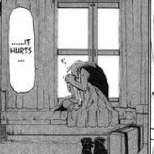 Hesitations-shiloh dynasty x Fmab | the truth is to dangerous to hold