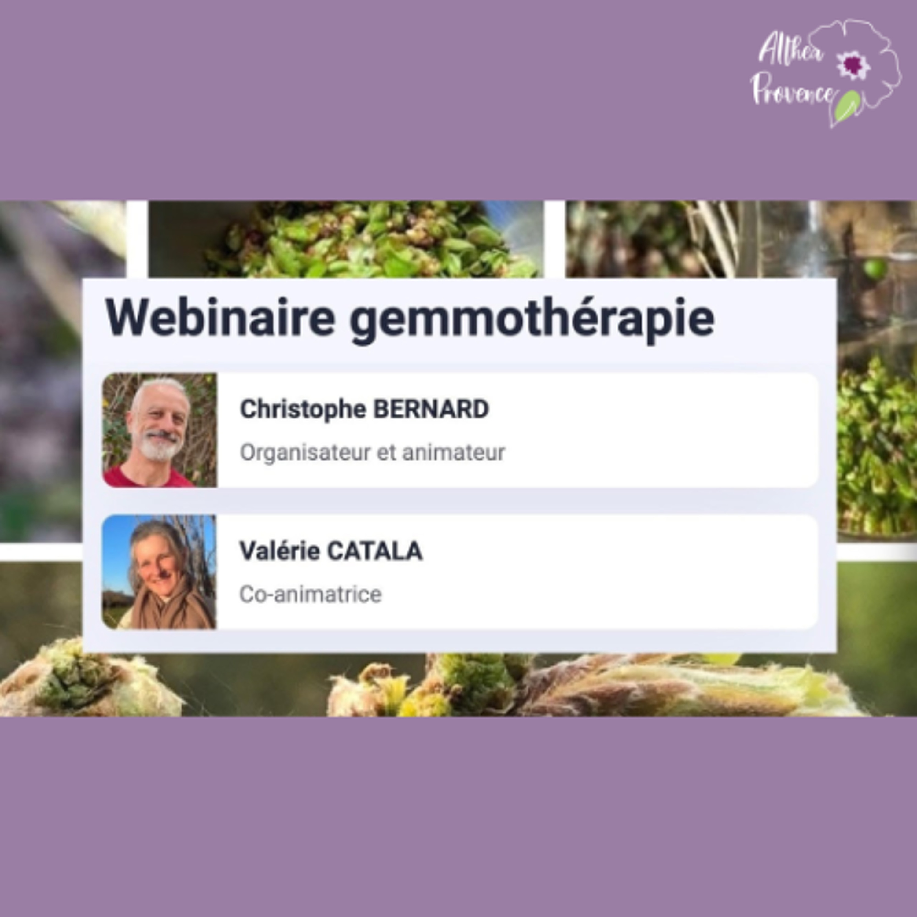 Gemmothérapie – replay du webinaire avec Valérie Catala